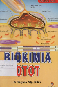 Biokimia Otot
